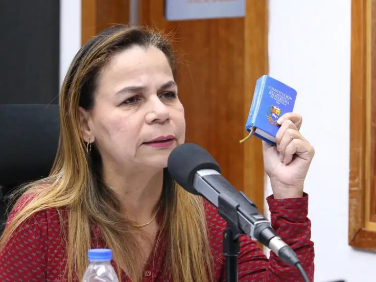 Ley Libertador Simón Bolívar representará la justicia que piden los venezolanos