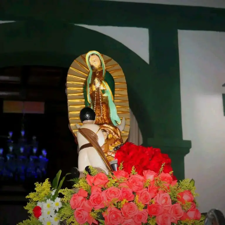 Virgen de Guadalupe de El Carrizal bajó para encontrarse con su pueblo