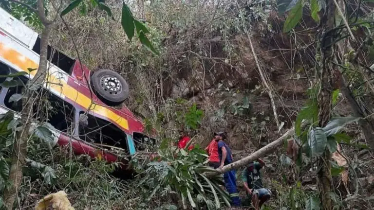 Brasil| Al menos 17 muertos al caer un autobús a un precipicio