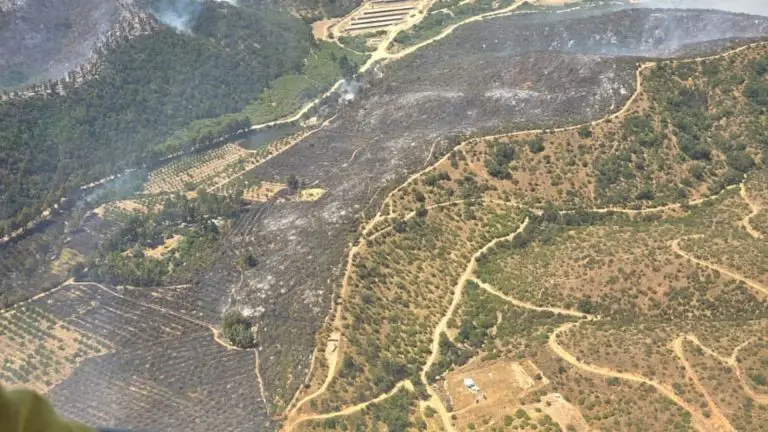 Chile ordena la evacuación inmediata de varias zonas por incendio forestal