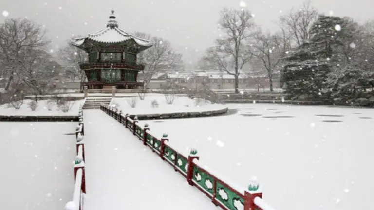 Corea del Sur vive una de las mayores nevadas de su historia