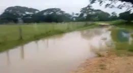 En la Costa Oriental del estado Falcón, las lluvias también han sido constantes, sin embargo, el río Tocuyo ha mantenido su cauce en niveles normales.