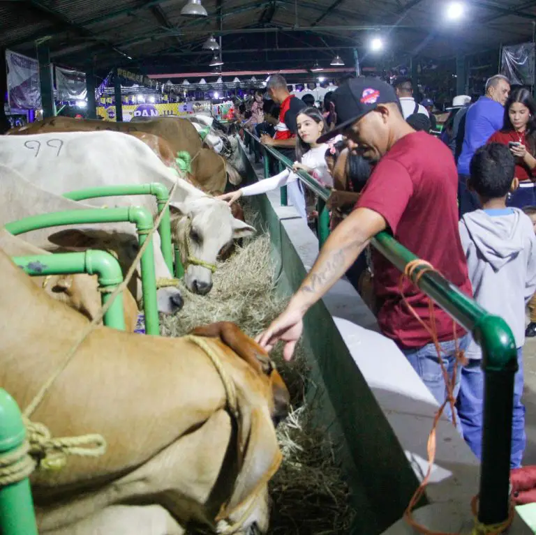 Más de 100 mil personas disfrutaron de la Expo Feria Falcón 2024