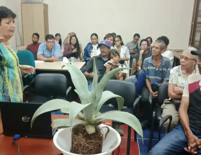 El Instituto de Patrimonio Cultural se convirtió en el epicentro de la celebración de los 128 años del cine venezolano con "El maravilloso agave Cocui".