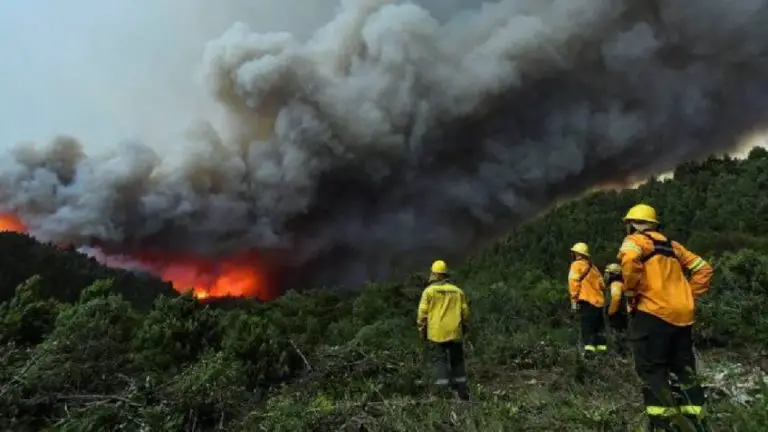 Incendio forestal arrasa más de 3.000 hectáreas en Argentina