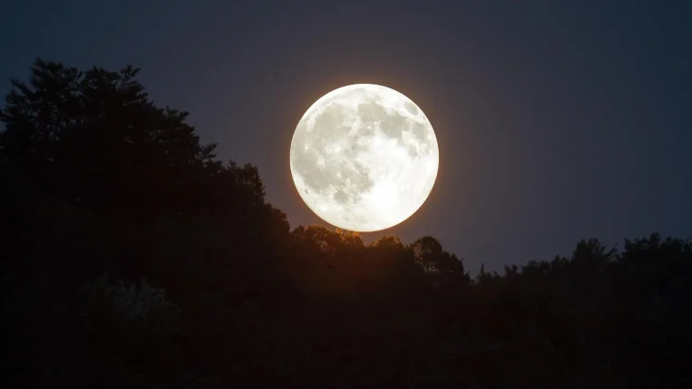 Luna de Lobo 2025: así deslumbró al mundo la primera Luna llena del año