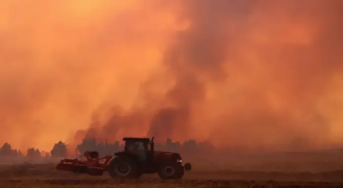 Este jueves, la Corporación Nacional Forestal (Conaf) de Chile comunicó que el país enfrenta en la actualidad 12 incendios forestales activos.