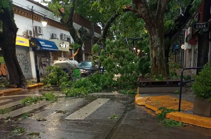 temporal-san-isidro