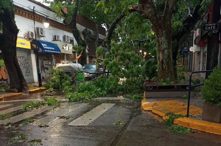 Fuerte temporal causó destrozos en Buenos Aires (+FOTOS)