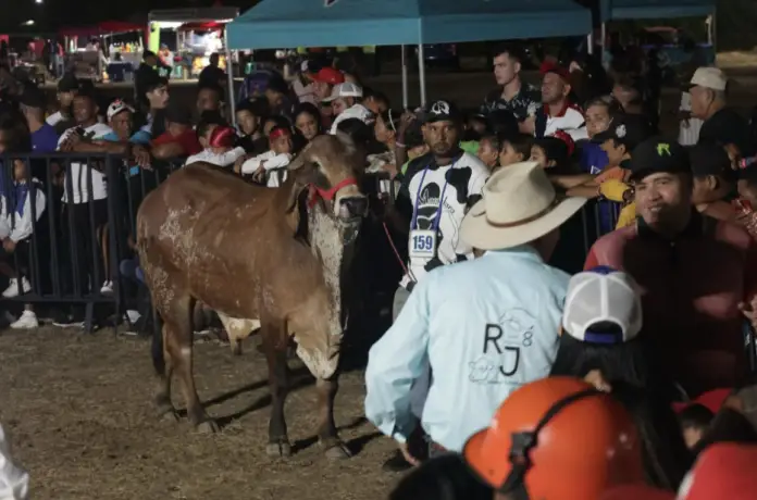 En la costa oriental se desarrolla la primera Expoferia Agropecuaria, Turística, Artesanal y Cultural Chichiriviche 2025.