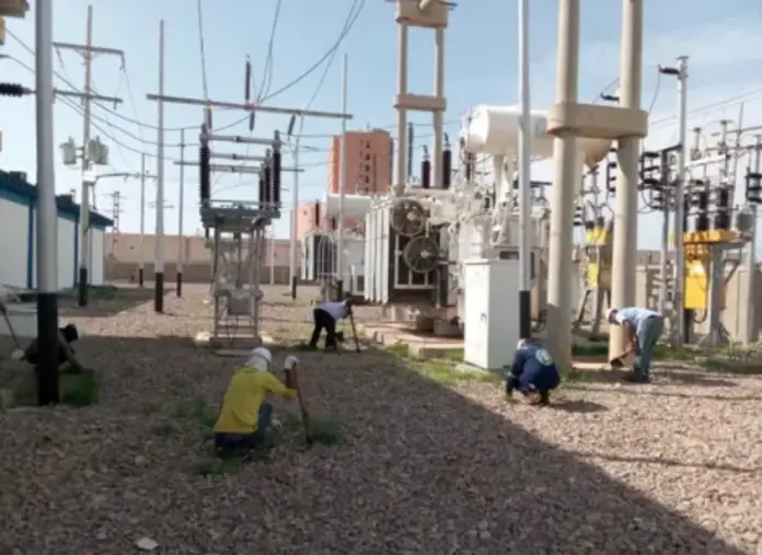 Trabajadores de Corpoelec se desplegó por 7 subestaciones eléctricas de Falcón, para ejecutar labores preventivas en el marco del Plan Nacional de Pica y Poda.