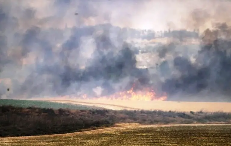 Evacuaciones y cierres de carreteras por incendios forestales en Israel (VIDEO)