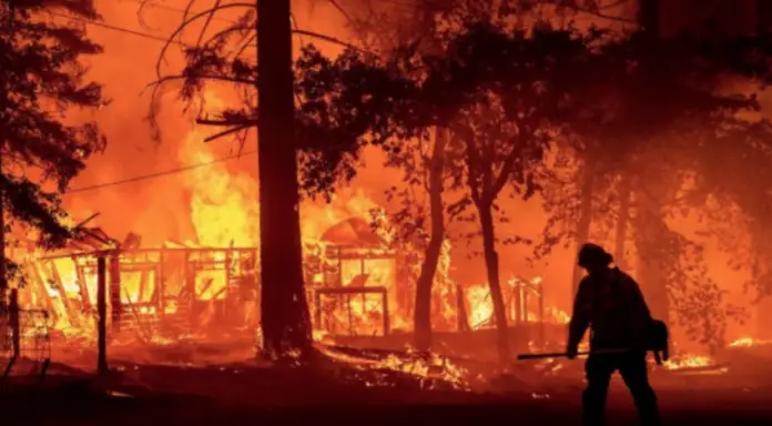 Un incendio forestal en el estado de Nueva Jersey (EE. UU.) ha alcanzado aproximadamente 1.294 hectáreas en la densa área boscosa de Pine Barrens.