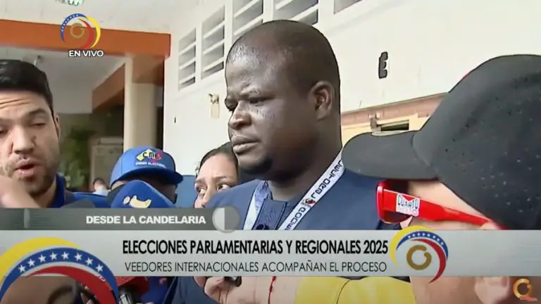 ELECCIONES 2025 |Veedores internacionales: proceso electoral «sin irregularidades hasta ahora»