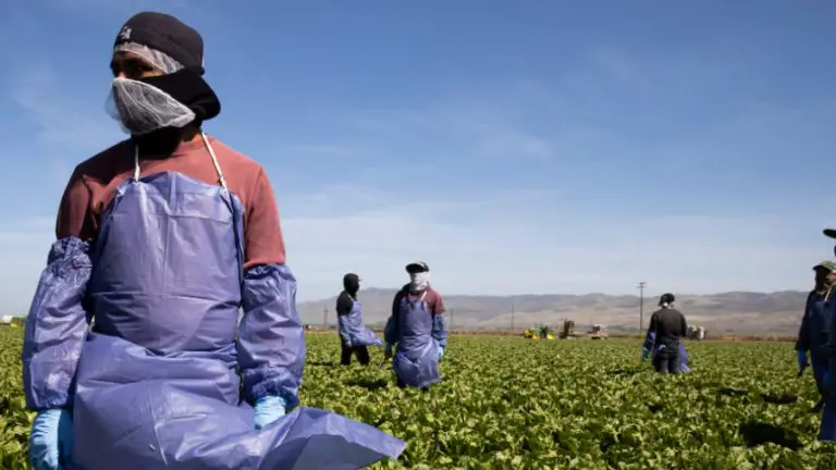 Redadas migratorias provocan desabastecimiento en EE.UU.