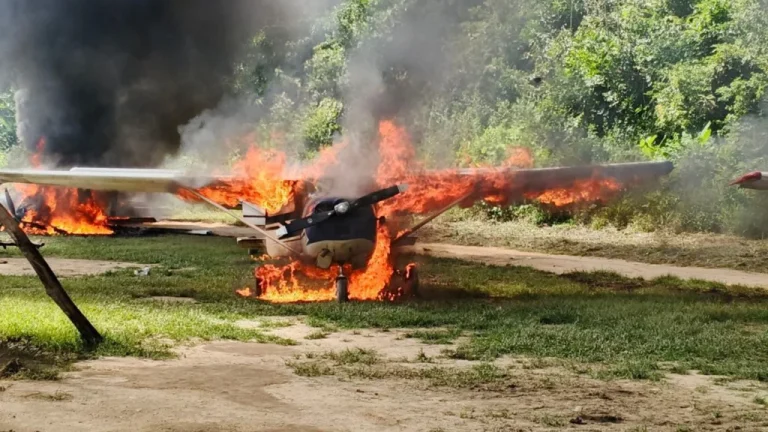 Operación Neblina | FANB inutiliza ocho aeronaves en Amazonas