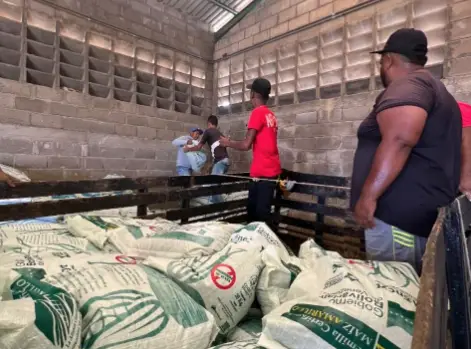 En Falcón, se prevé 1.500 diseminadas en 13 municipios a través de la alianza científico campesina, en el ciclo de siembra Norte Verano.