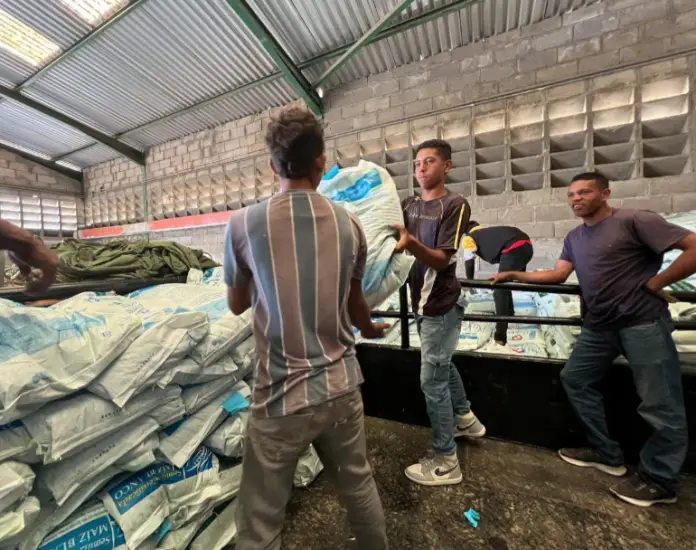 En Falcón, se prevé 1.500 diseminadas en 13 municipios a través de la alianza científico campesina, en el ciclo de siembra Norte Verano.