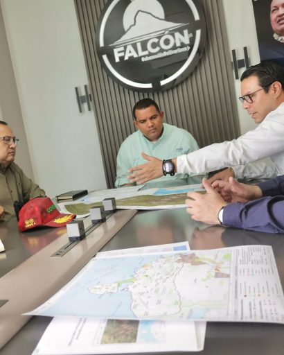 Falcón