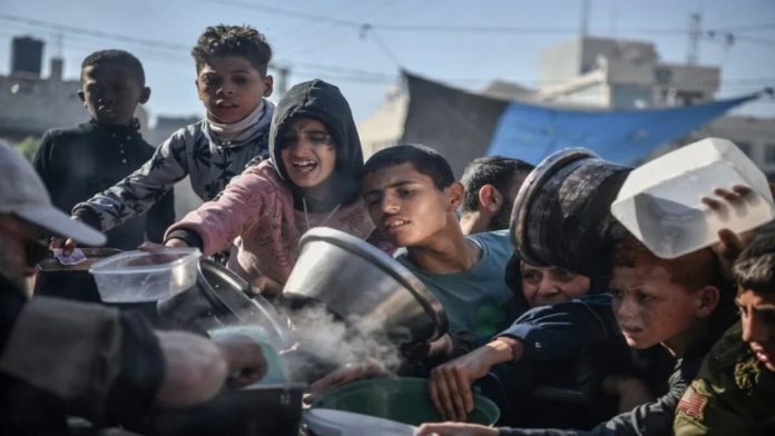 Gaza