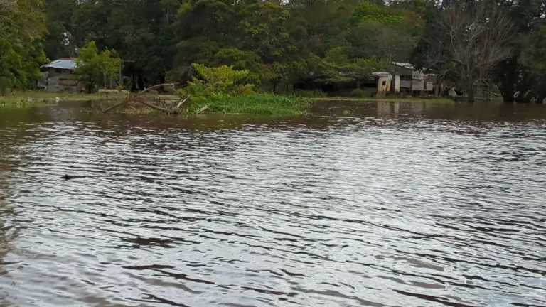 Crecida del Orinoco desplaza familias en busca de refugio