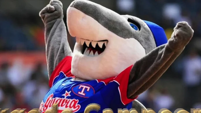 Tiburones