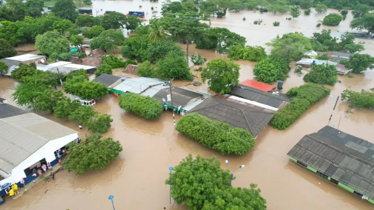 Activan transporte fluvial y terrestre para llevar alimentos a zonas inundadas de Apure