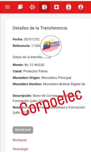 Monedero Patria paga más de Bs.12.000: ¿Quiénes cobran?