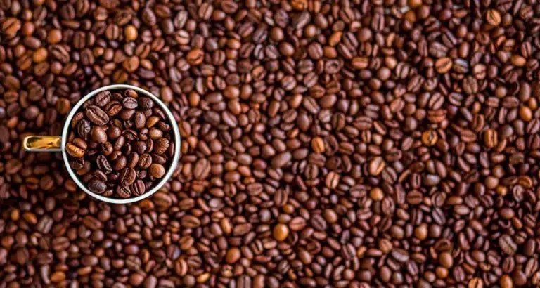 Fedeagro: exportación de café genera $30 millones para el país