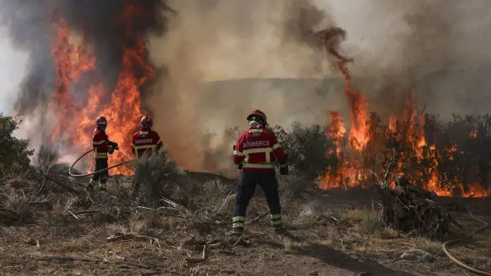 Incendios forestales