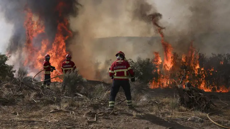 Incendios forestales en Europa duplican el promedio