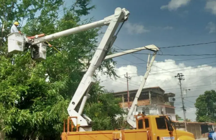 En los estados Falcón, Lara y Zulia, CORPOELEC llevarán a cabo trabajos de Control de Vegetación en redes de distribución.