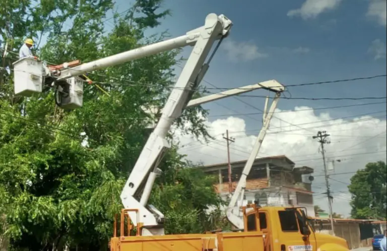 Corpoelec realizará jornada de control de vegetación en 12 municipios de tres estados