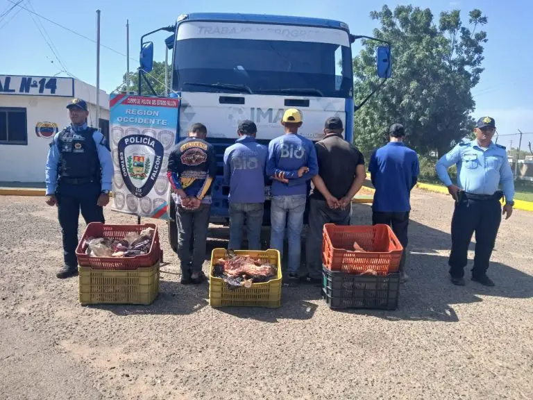 Polifalcón aprehende cinco personas por hurto en Dabajuro