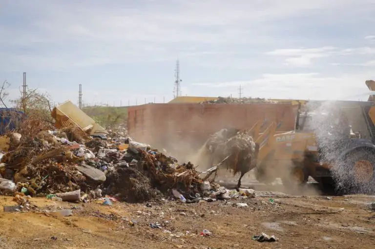 Gobierno municipal refuerza la limpieza de terrenos en Carirubana