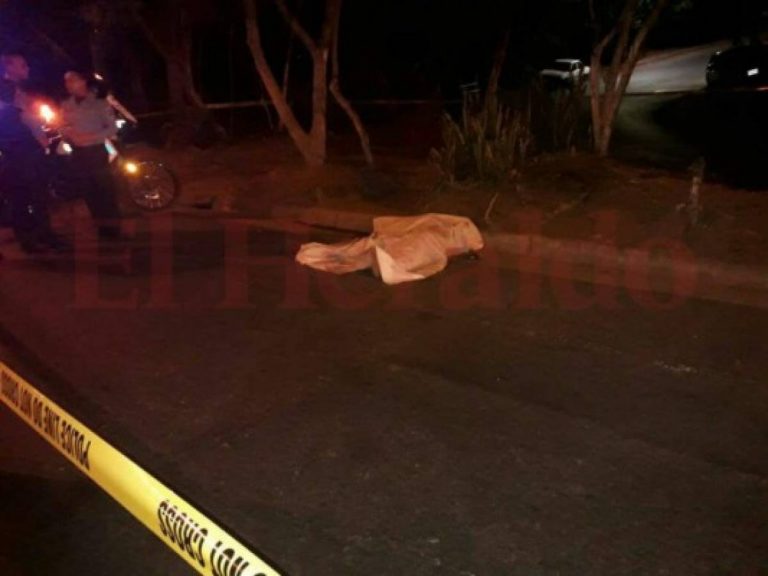 Hallan un cadáver desmembrado en autopista regional