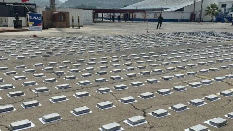 Venezuela ha incautado más de 60 toneladas de drogas este año