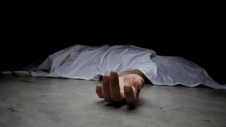 Sexagenario asesinó a golpes a su pareja de 31 años