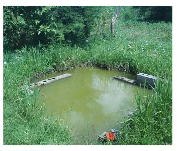 Falcón | Niño de un año murió ahogado en estanque en Mirimire