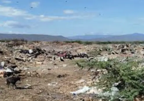 vertederos-de-basura-tenerias El alcalde de Miranda, Henry Hernández, informó que inician acciones precisas para mitigar los basureros improvisados y no permitidos.