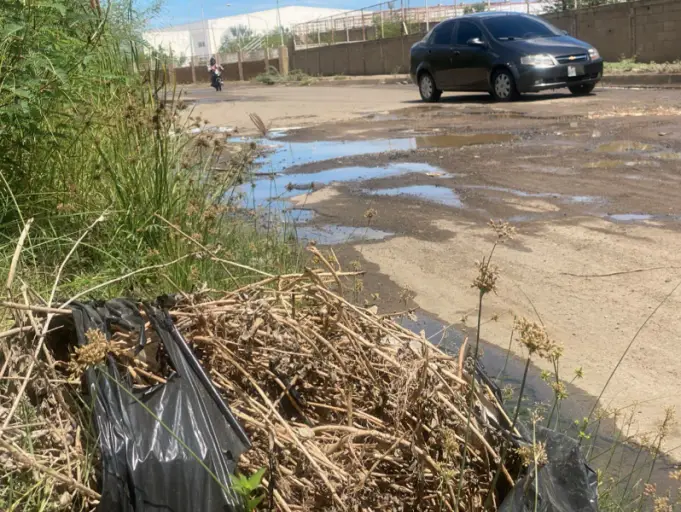 En la entrada principal de la urbanización Las Velitas, en el oeste de Coro, un bote de aguas blancas ha deteriorado la vía.