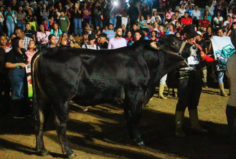 Ferias de Tocópero regresan con parque ferial renovado