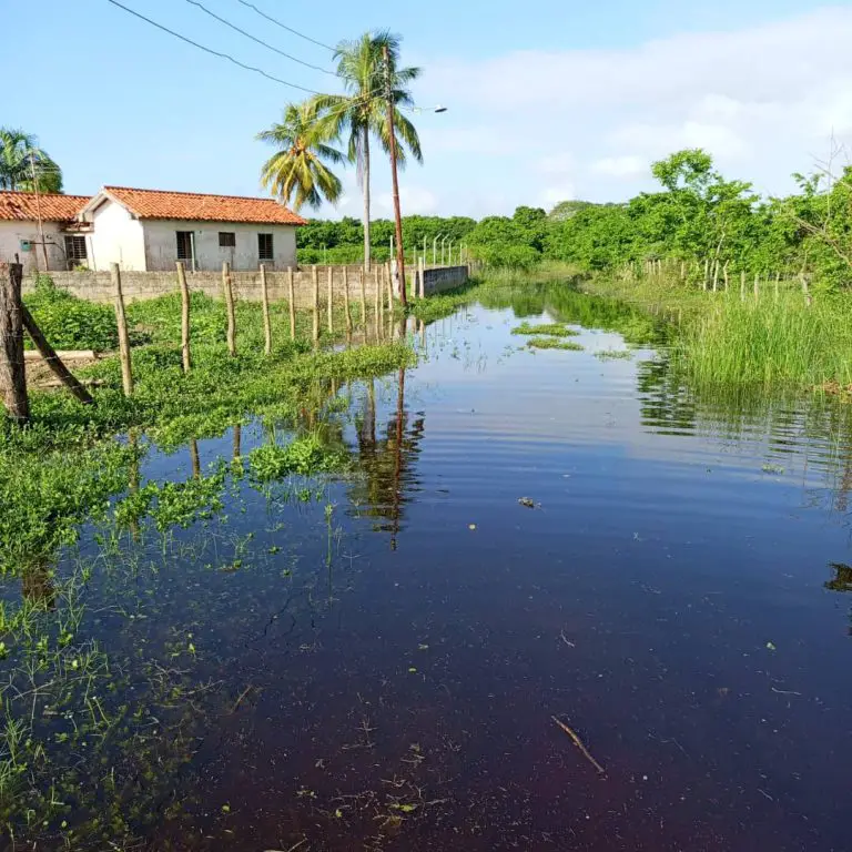 Deterioro del caño Núñez afecta a vecinos de Campo Caribe en Boca de Aroa