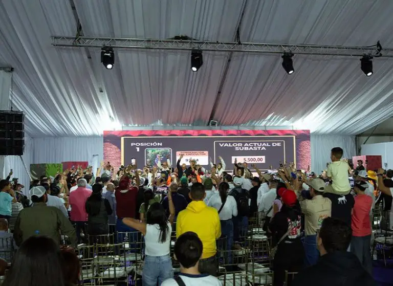 5.500 dólares/kg, conoce el café de especialidad venezolano que alcanzó ese récord