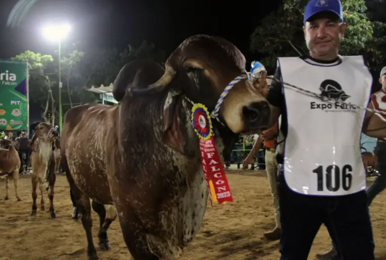 El movimiento en el parque ferial "Don Pablo Saher de Coro" ya empezó para la preparación de la Expo Feria Falcón 2025