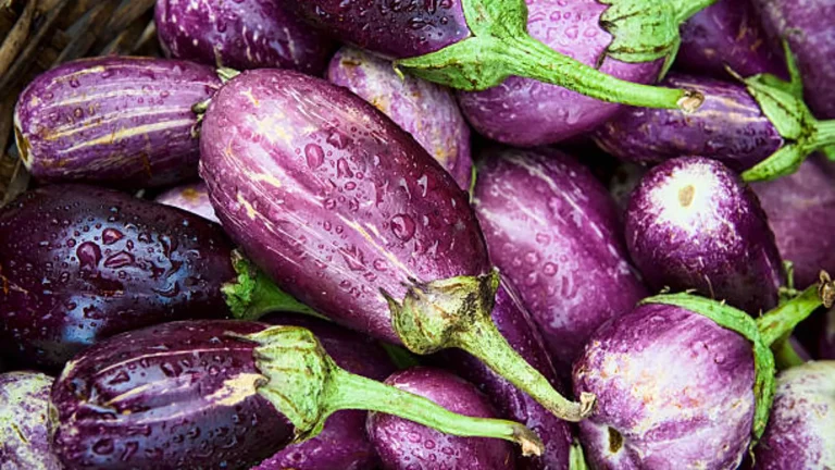 Semillas de berenjena podrían ayudar contra el cáncer de colon
