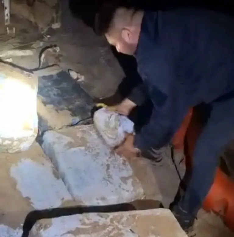 Droga en Falcón | Localizan 444 envoltorios en el sector El Caño de Colina