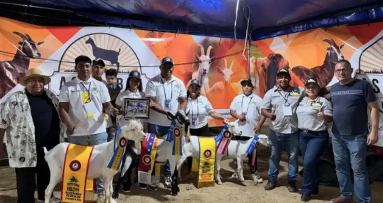 Expoferia agropecuaria de Mauroa expondrá lo mejor de lo mejor