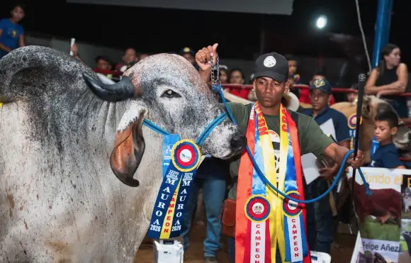 El secretario de Desarrollo Agrícola de Falcón, Pablo Acosta, brindó un balance de la expoferia agrícola, ganadera y artesanal Mauroa 2026.
