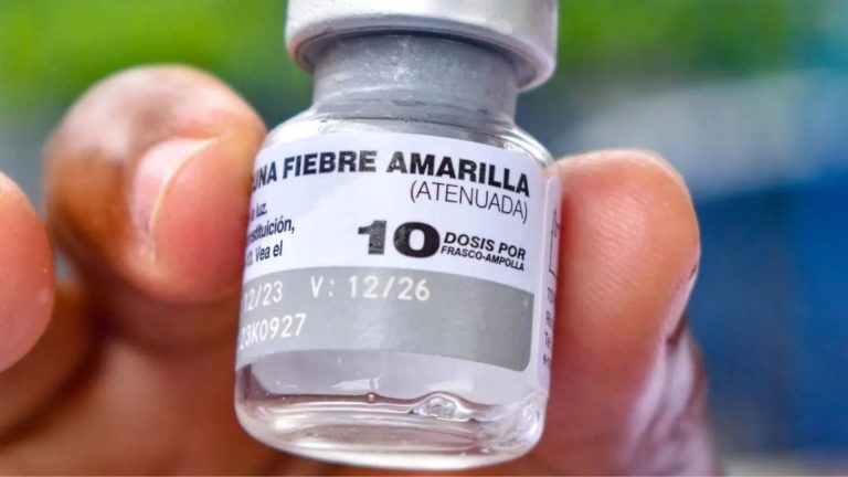 Academia Nacional de Medicina confirma 29 casos de fiebre amarilla y dos muertes